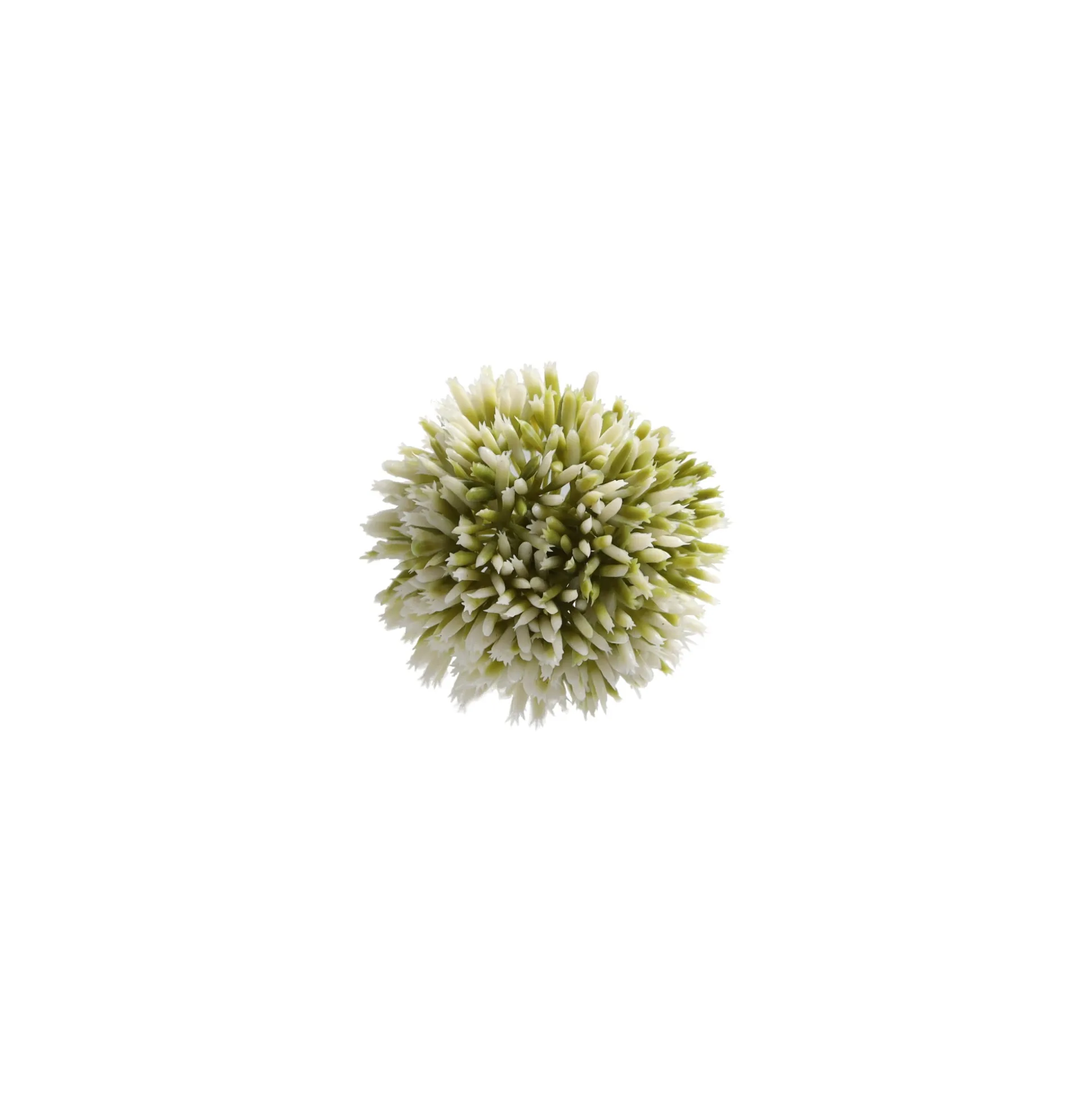 Sierui 55 cm groen