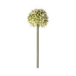 Sierui 55 cm groen
