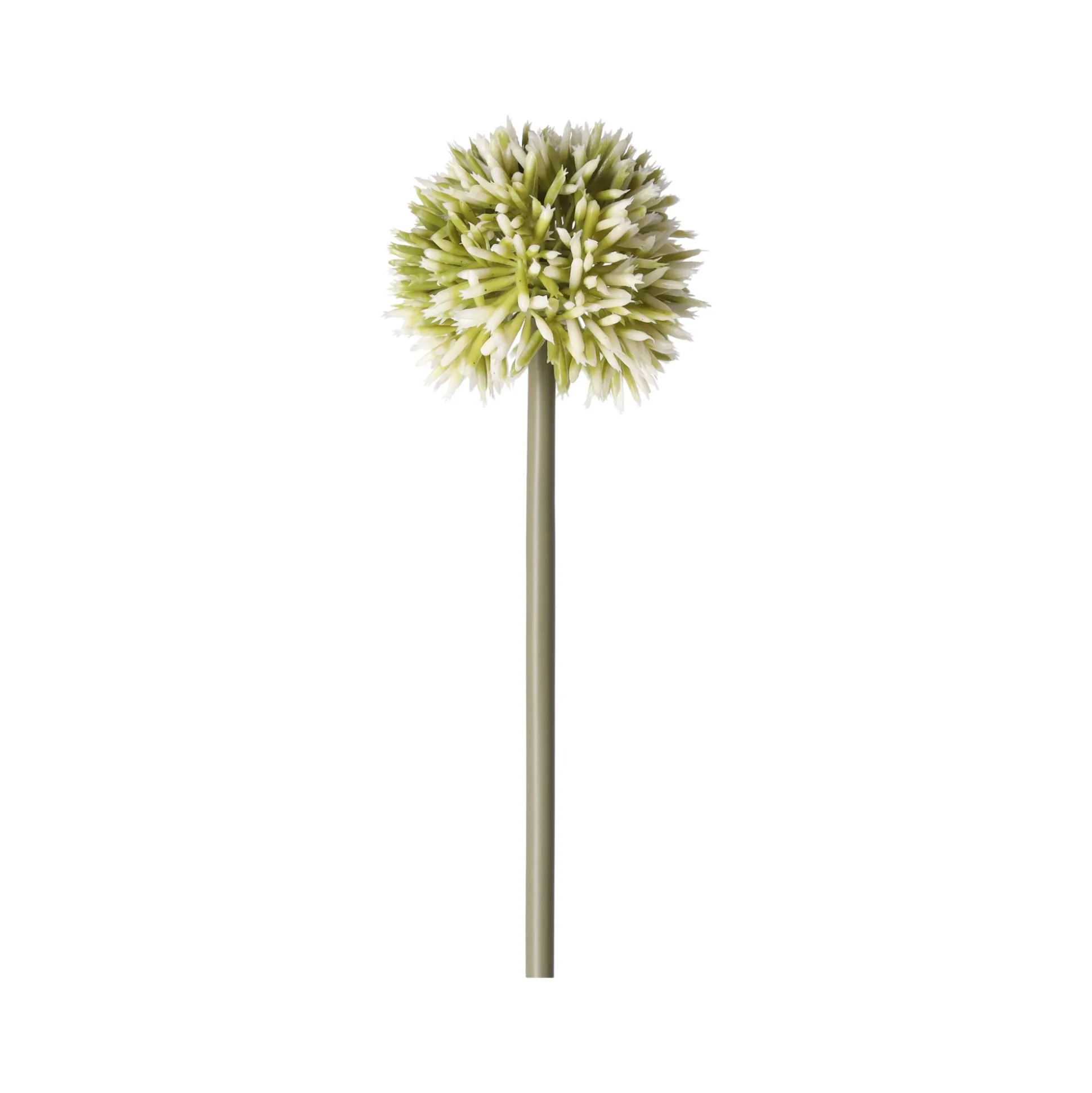 Sierui 55 cm groen