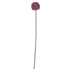 Sierui 55 cm roze