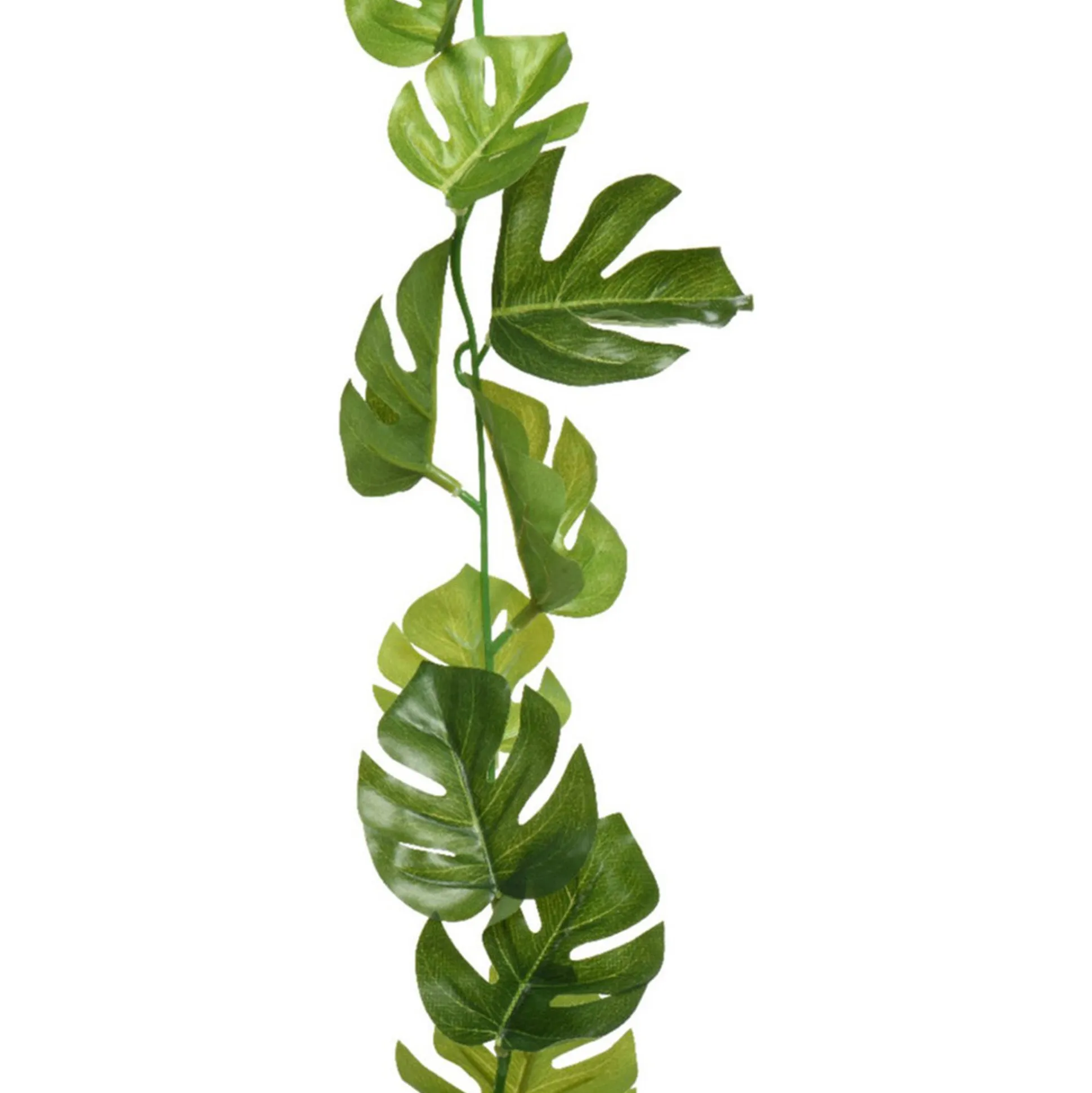 Slinger Monstera 180 cm
