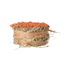 Snack hooirol wortel 75gr Smulti