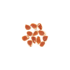 Snack kat tonijn rolls 50G
