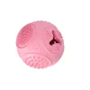 Snackbal hond dental treat en play