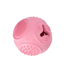 Snackbal hond dental treat en play