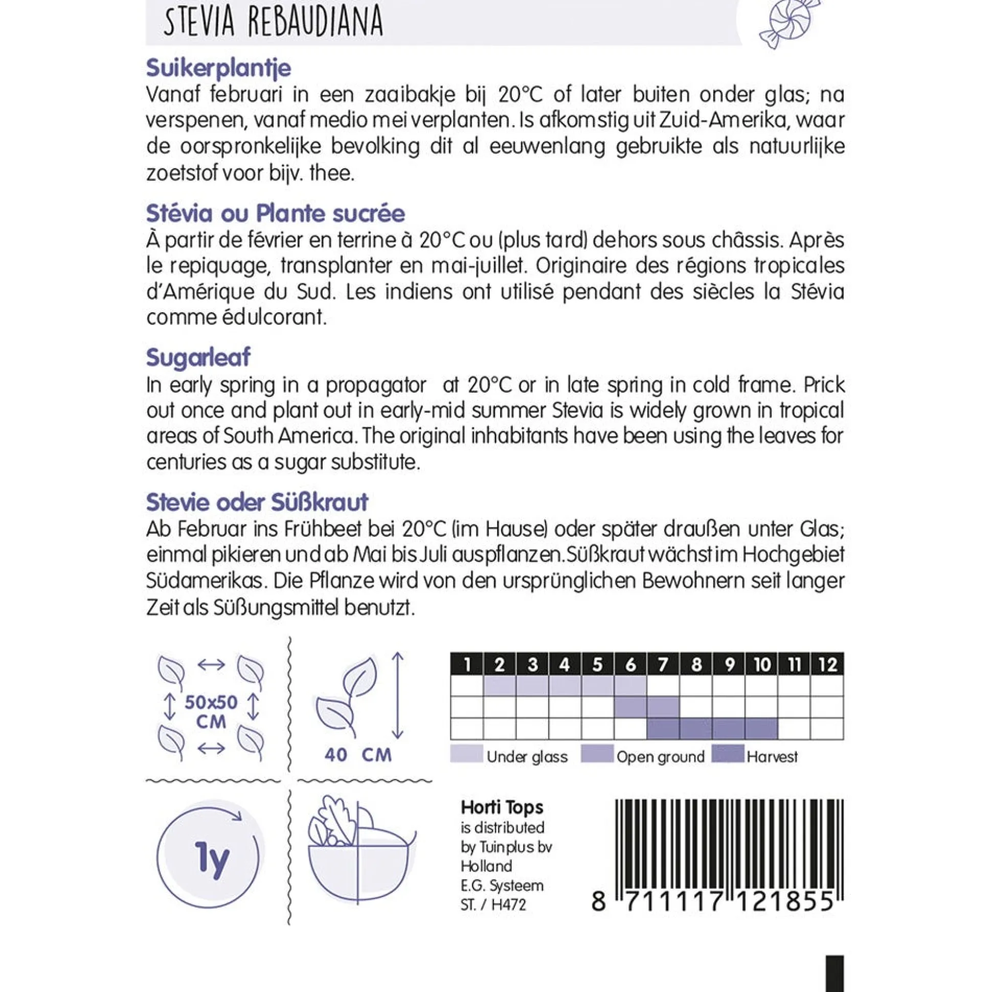 Stevia suikerplantje zaad