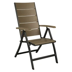 Stoel 7 standen Fabara antra metal