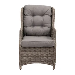 Stoel Aprano Willow Grey Bois le Duc
