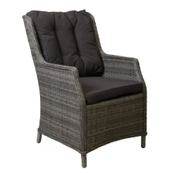 Stoel Carano Willow Grey Bois le Duc