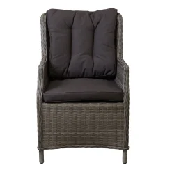 Stoel Carano Willow Grey Bois le Duc