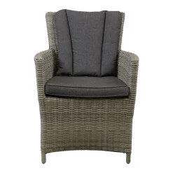 Stoel Sauro willow grey met kussen