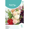 Stokroos Chater dubbelbloemig mix