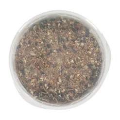 Strooivoer insecten met pindas 3kg Smulti