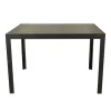 Tafel Bajardo 105x100cm antra