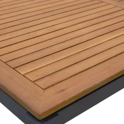 Tafel Primavera 160x90cm antra