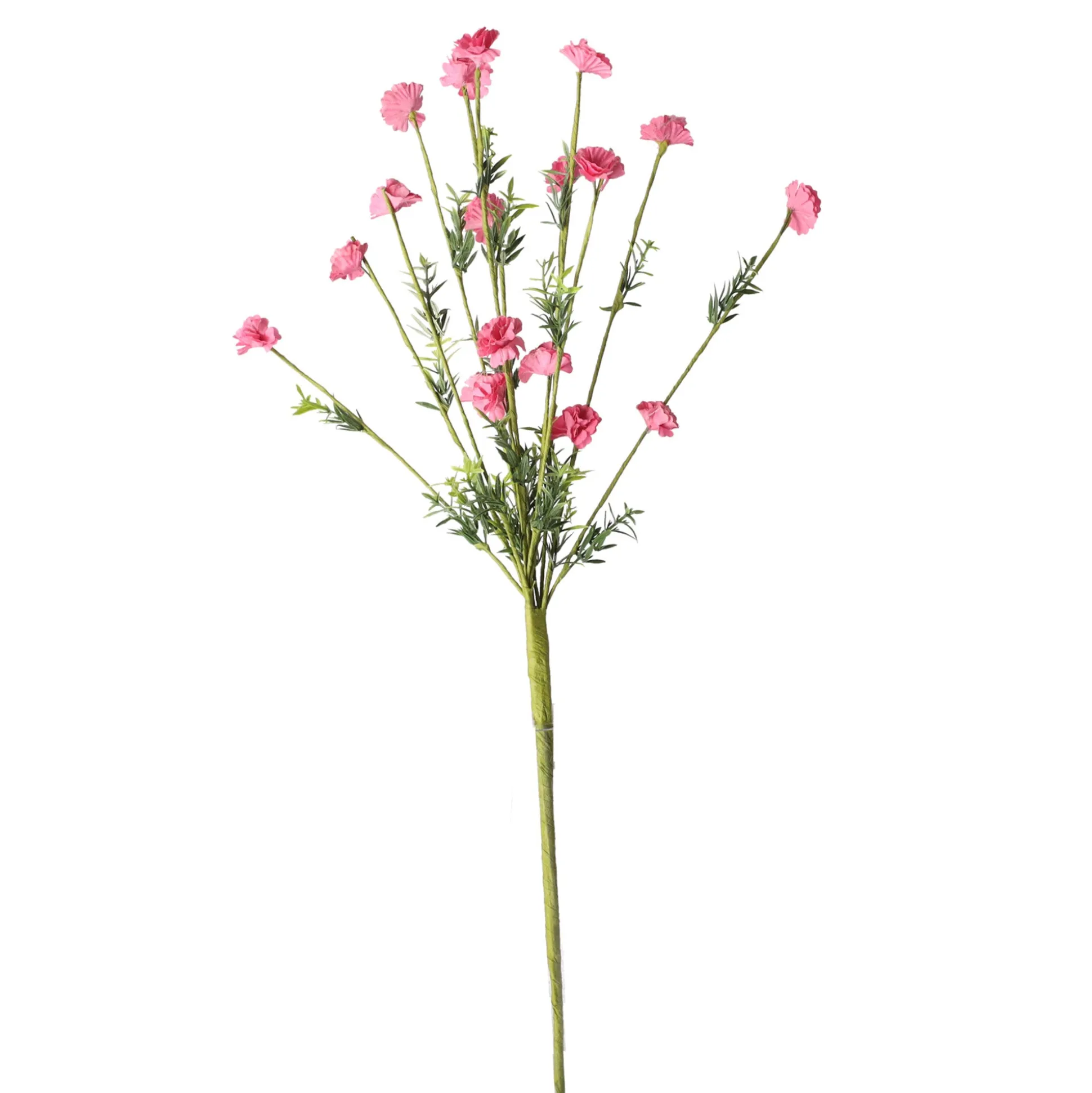 Tak bloemen Aleide fuchsia