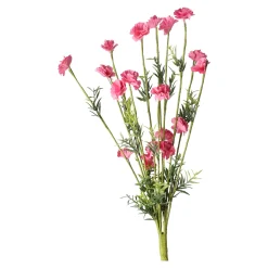 Tak bloemen Aleide fuchsia