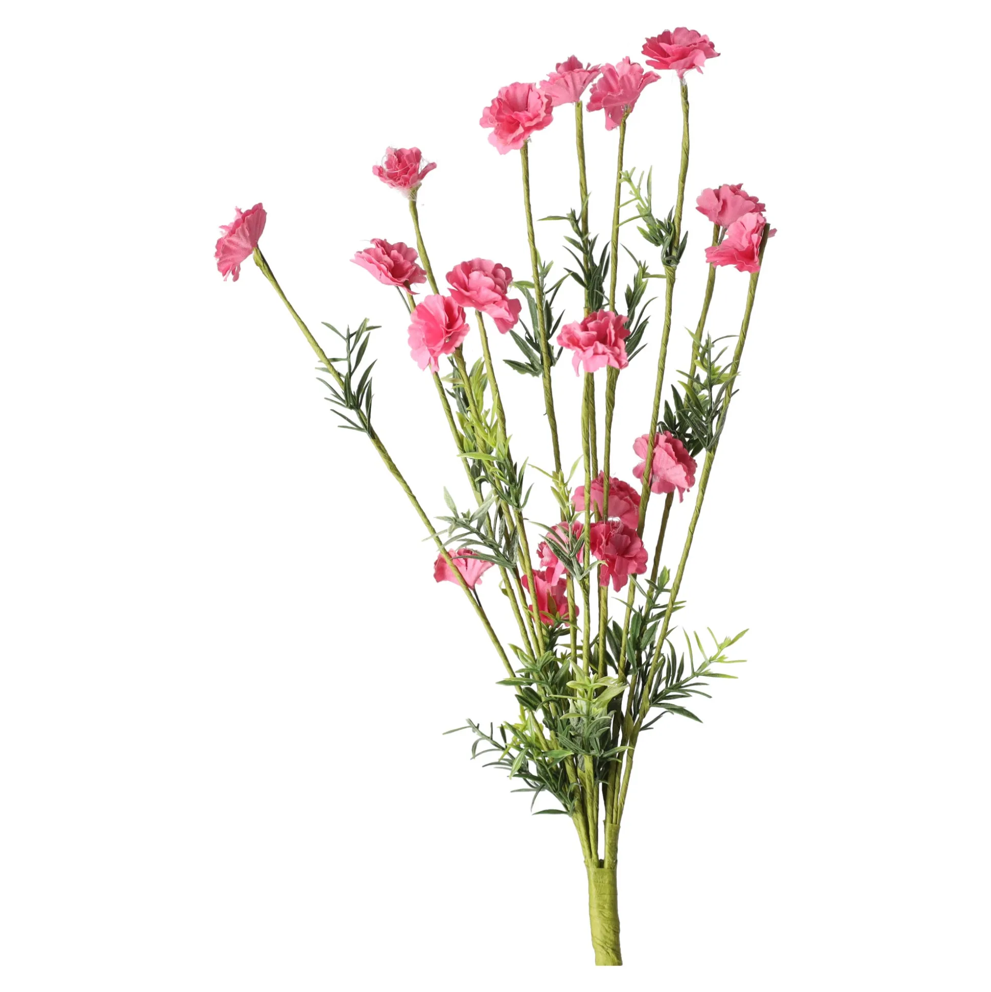 Tak bloemen Aleide fuchsia