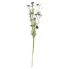 Tak bloemen Aleide paars