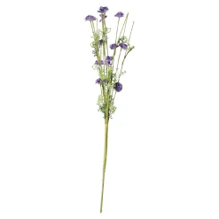 Tak bloemen Aleide paars