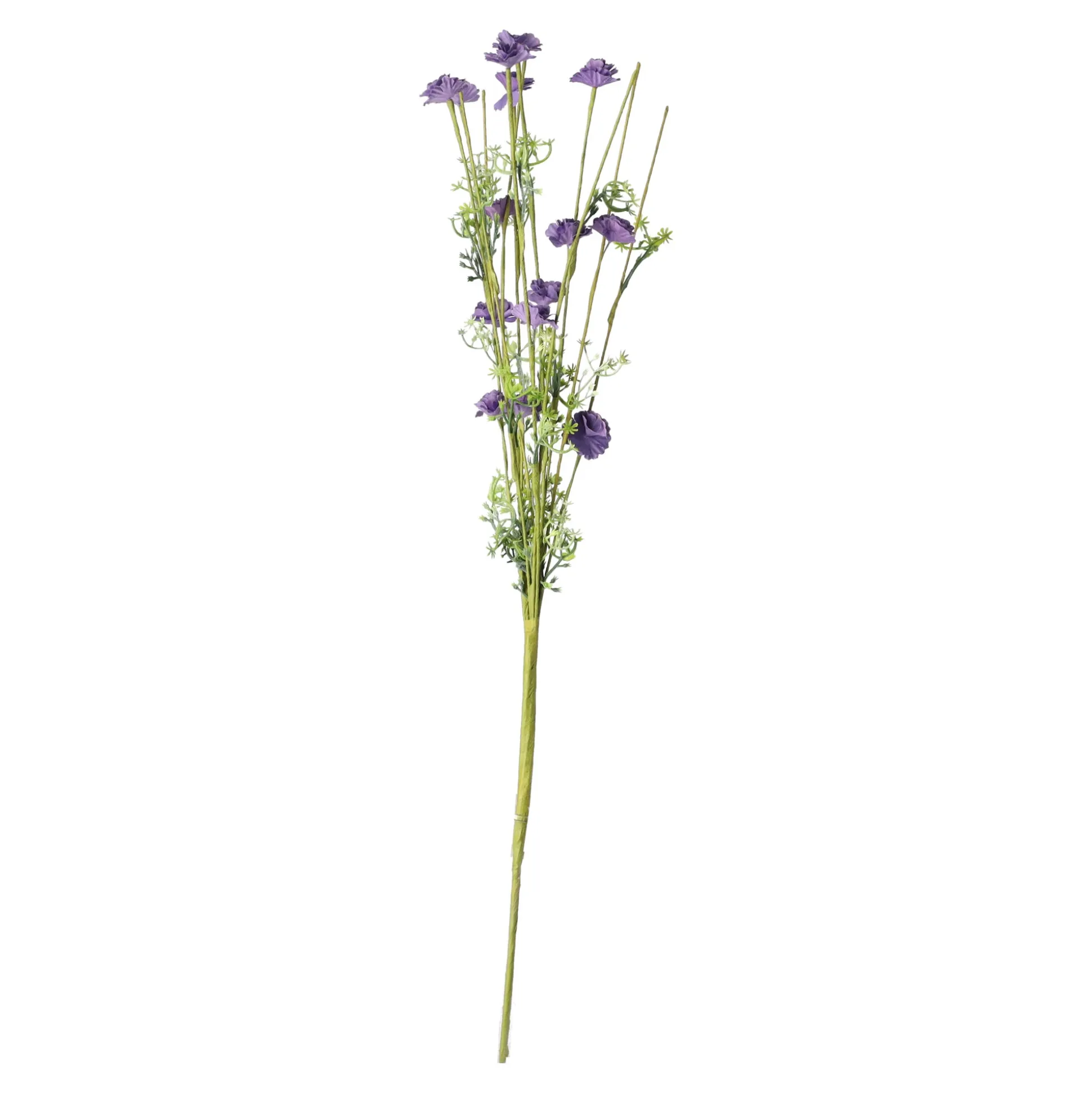 Tak bloemen Aleide paars
