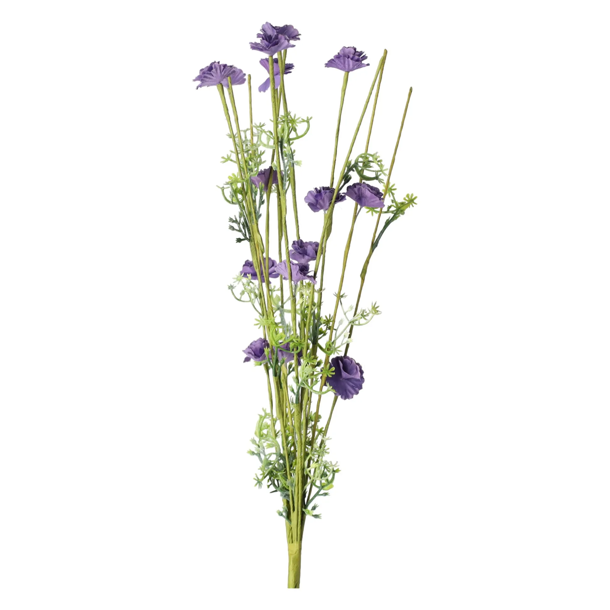 Tak bloemen Aleide paars