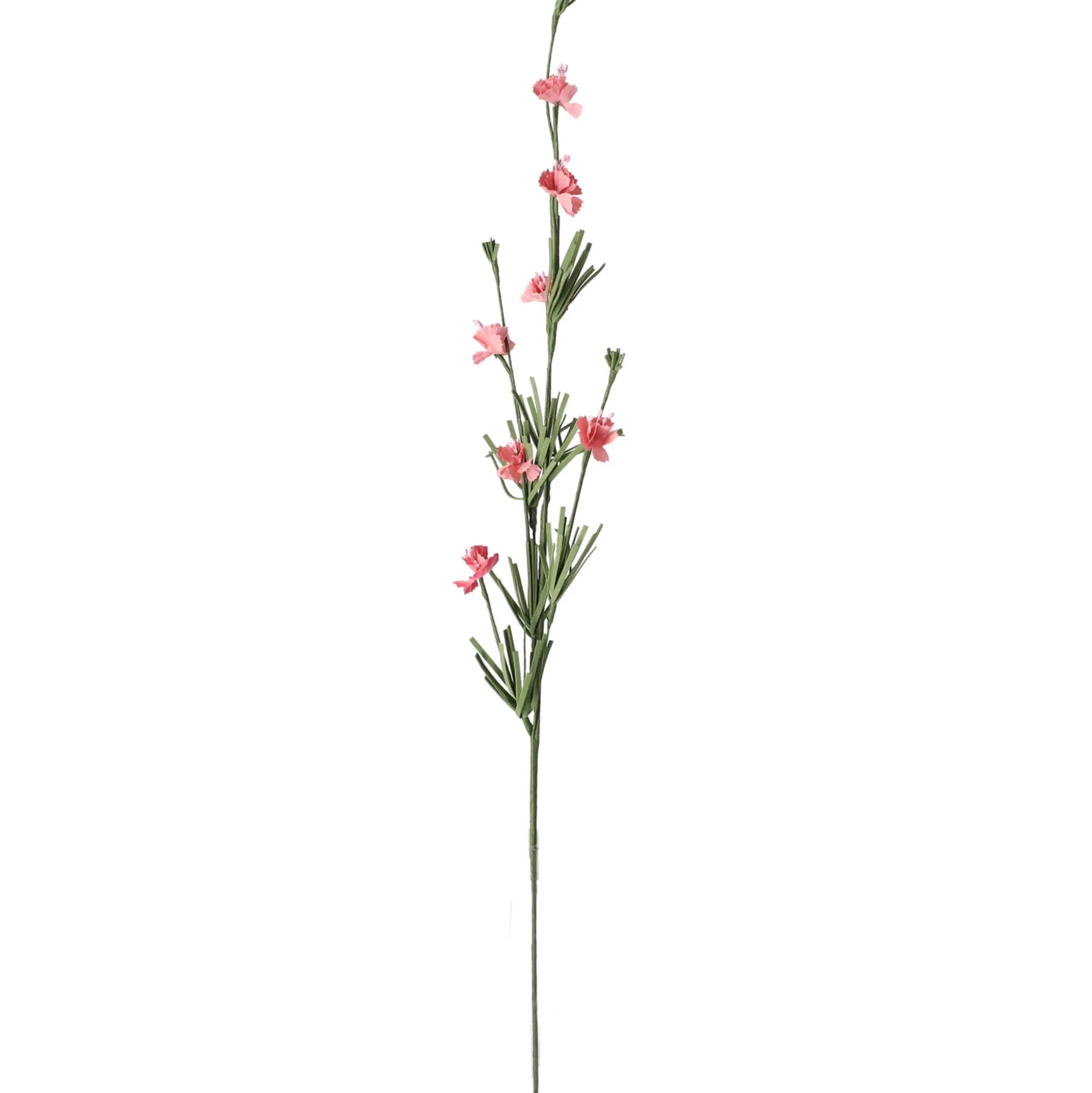 Tak bloemen Anita Rose