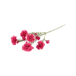 Tak carnation roze 68 cm