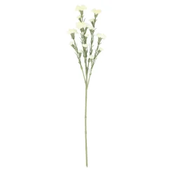 Tak carnation wit 68 cm