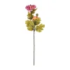 Tak Dendranthema autumn paars 57 cm