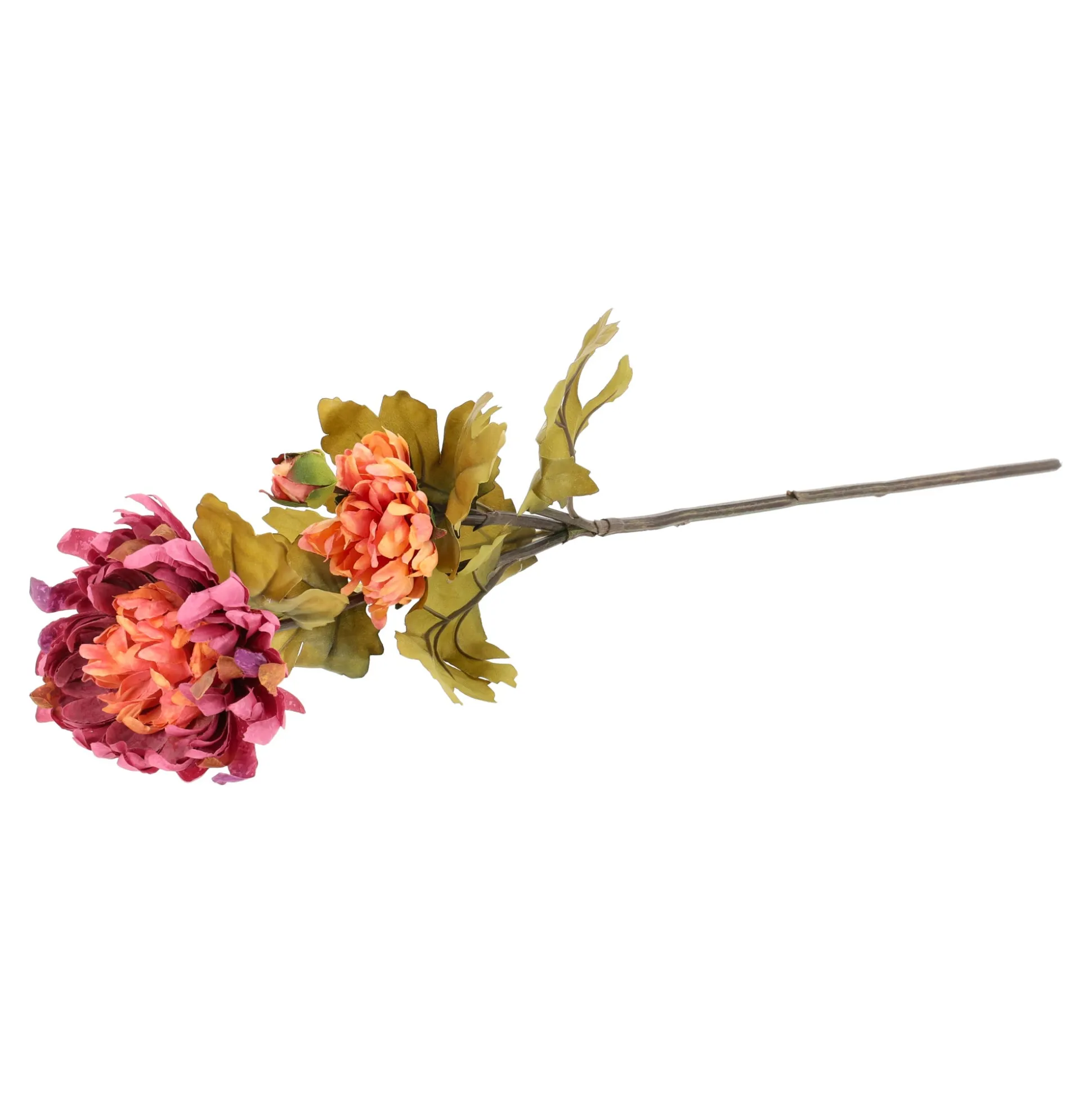Tak Dendranthema autumn paars 57 cm