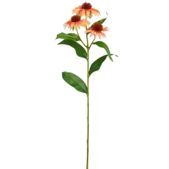 Tak Echinacea zalm 62 cm