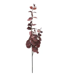 Tak eucalyptus rood 100 cm