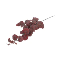 Tak eucalyptus rood 100 cm