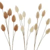 Tak Fluweelgras 72 cm 3 kleuren
