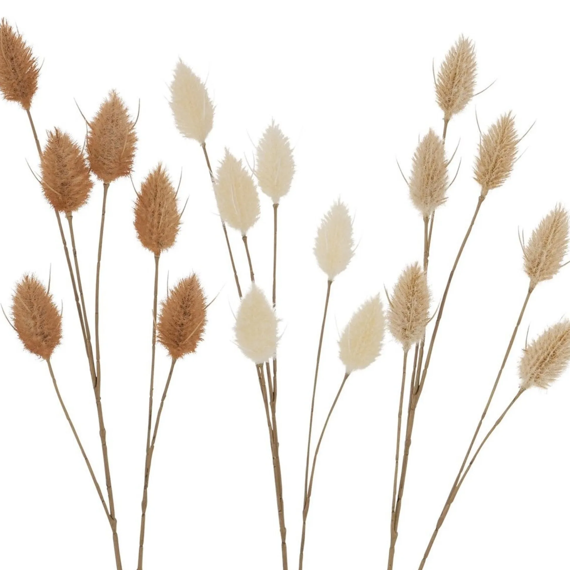 Tak Fluweelgras 72 cm 3 kleuren