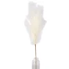 Tak gras 110 cm crème