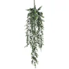 Tak hangend eucalyptus 78 x 22 cm