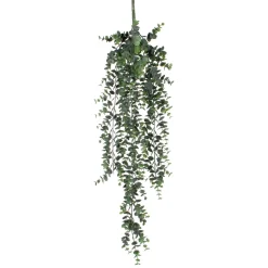 Tak hangend eucalyptus 78 x 22 cm