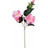 Tak Hibiscus roze 76 cm