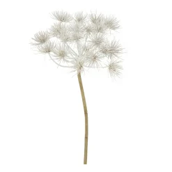 Tak Hogweed creme 76 cm