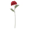 Tak hortensia autumn roze 75 cm