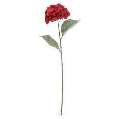 Tak hortensia autumn roze 75 cm