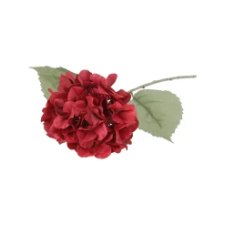 Tak hortensia autumn roze 75 cm