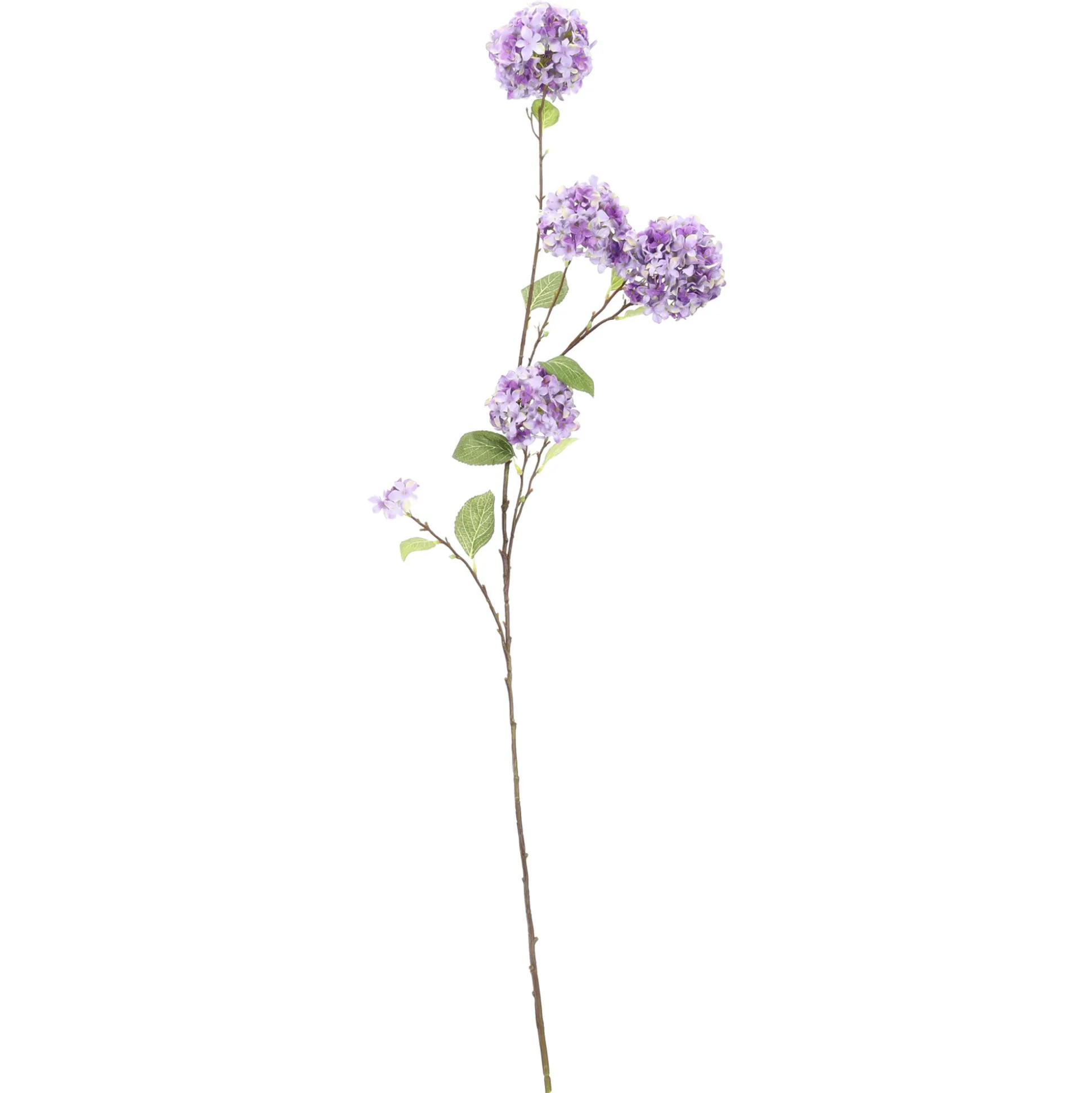 Tak Hydrangea blauw 127 cm