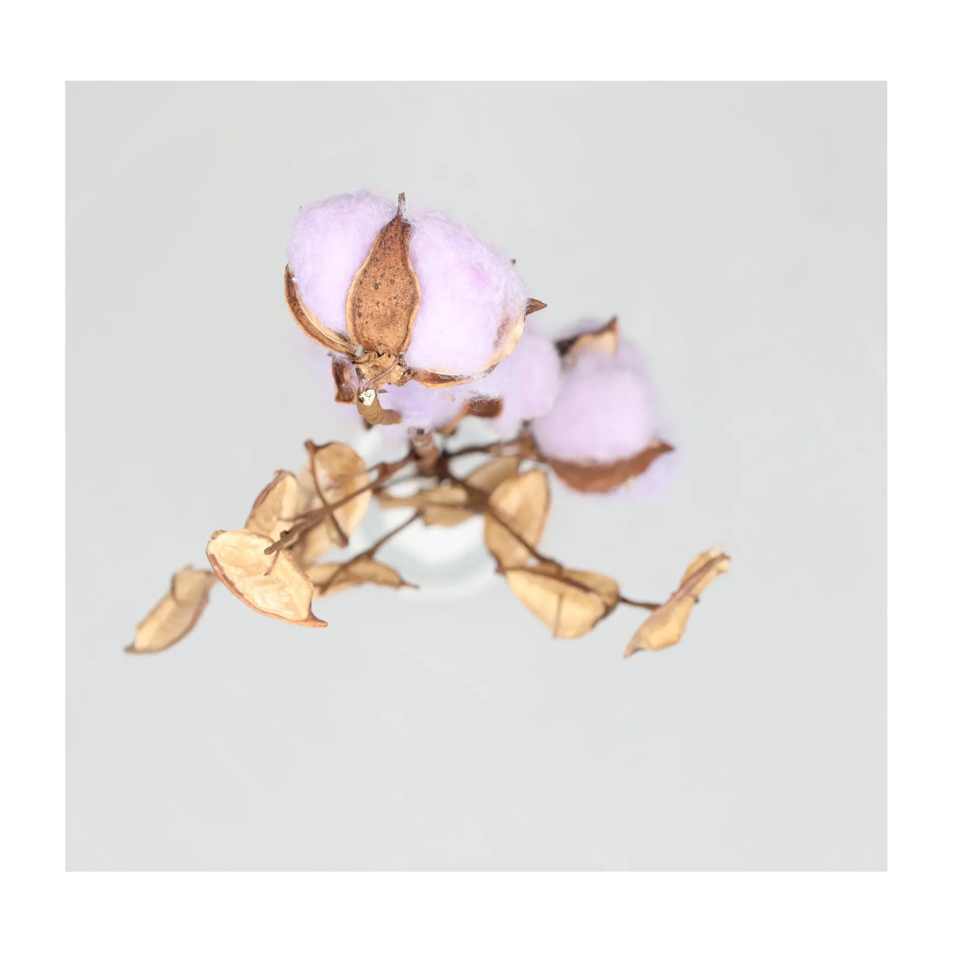 Tak katoen foam lila 59 x 20 x 3 cm