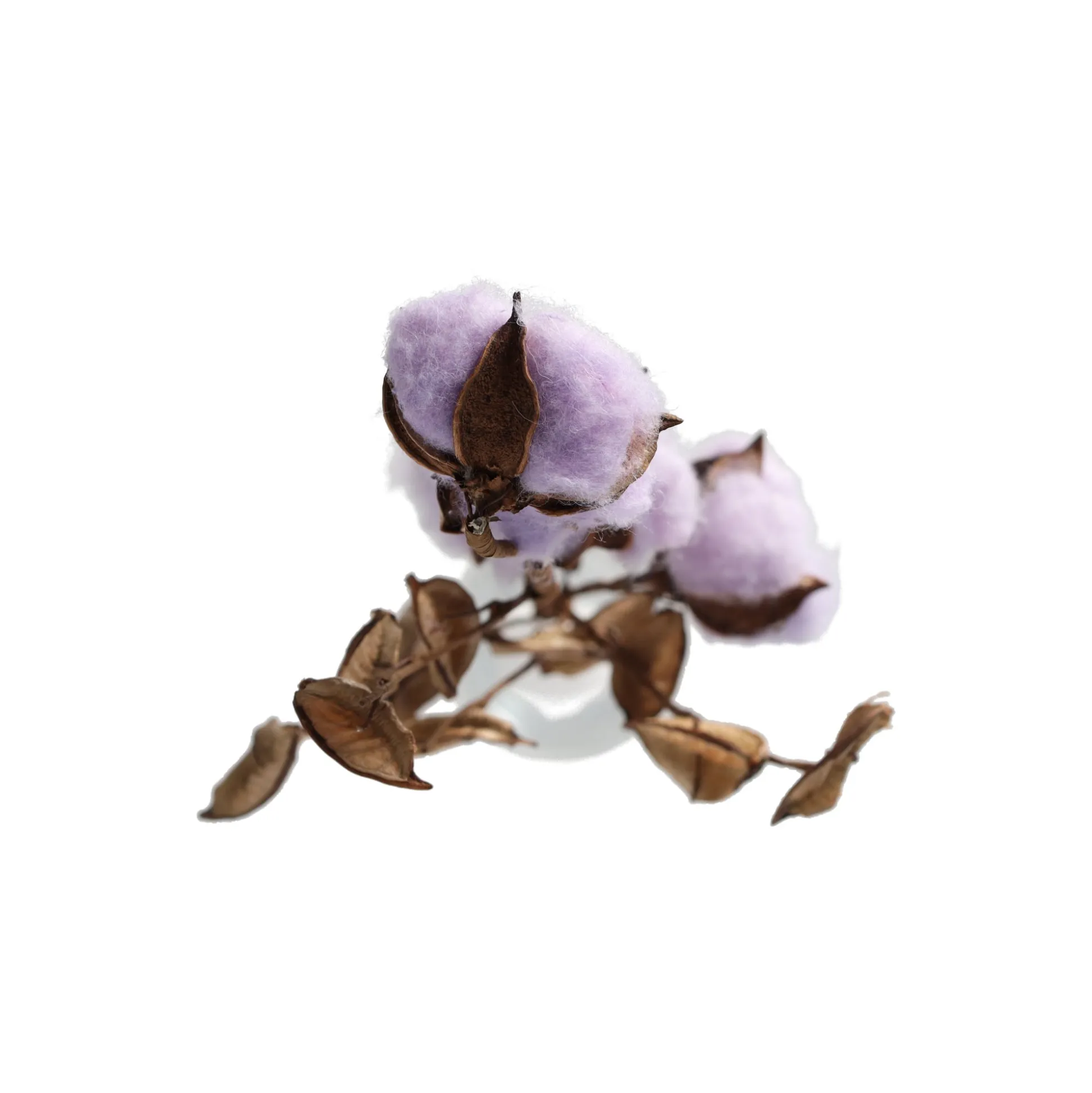 Tak katoen foam lila 59 x 20 x 3 cm