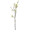 Tak Kersenbloesem roze 61 cm