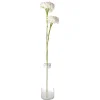 Tak klauw wit 87 cm