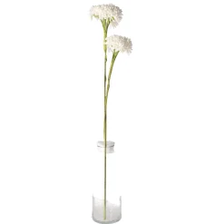 Tak klauw wit 87 cm